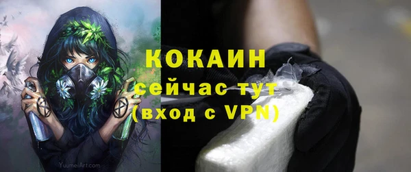 тгк Братск