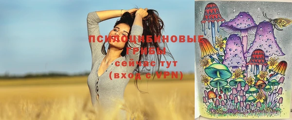 тгк Братск