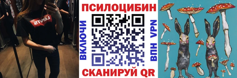 Купить закладки  Усолье-Сибирское  Галлюциногенные грибы мицелий 